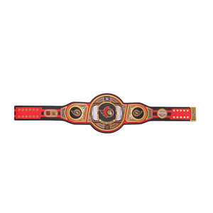 Ceinture de championnat de lutte de haute qualité avec logo personnalisé, qualité supérieure, vente en gros, ODM, nouvelle collection 2026 - Product Image 2