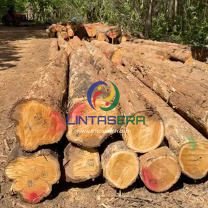 Troncos de madera de teca dorada premium de Tailandia para la fabricación de muebles, carpintería o construcción - Product Image 4