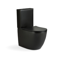 WC monobloc élégant noir en céramique à poser au sol avec chasse d'eau économe en consommation pour salles de bain résidentielles et hôtelières