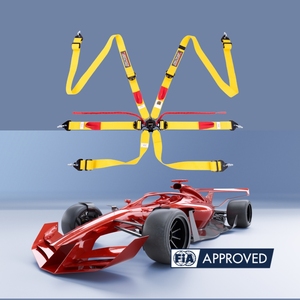 เข็มขัดนิรภัยสำหรับแข่งรถ TBRACING SPORT PLUS 3 สีสั่งทำพิเศษ ได้รับการรับรองมาตรฐาน FIA ขนาด 50 มม. สำหรับโครงการความปลอดภัยในกีฬาแข่งรถโตโยต้า - Product Image 1