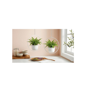 Maceta Colgante Moderna de Metal con Soporte de Pared de Madera, Resistente al Óxido, para Decoración de Sala de Estar Estilo Nórdico, a Bajo Precio - Product Image 4