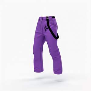 Pantalon de ski homme 2026 en polyester 100% teint uni, imperméable 10 000 mm, isolation polaire 240g, fermeture auto-agrippante, personnalisable - Product Image 5