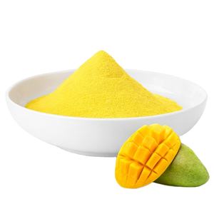 Poudre d'extrait de mangue biologique de qualité alimentaire, extrait de fruit naturel pour compléments alimentaires et boissons, fournisseur en gros d'exportation de Thaïlande - Product Image 1