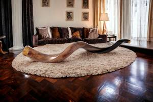 Shofar de Cuerno de Carnero Kosher Pulido |   Material Orgánico de Tacto Real |   Auténtica trompeta judía de Uttar Pradesh - Product Image 6
