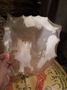 Parche de cuero de piel de búfalo de alta calidad, piel de animal natural, piel de becerro, parche para tambor Bodhrán, parche para banjo, parche para tambor redoblante - Product Image 3