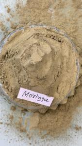 ผงมะรุมบริสุทธิ์สำหรับอาหารและเครื่องดื่ม อุดมด้วยคลอโรฟิลล์ วิตามินซี และโปรตีน - Product Image 3