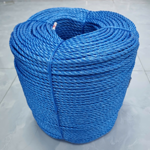 9mm 8mm 12mm 6mm PP cuerda trenzada 3 hilos al por mayor, cuerda de polipropileno resistente a los rayos UV, cuerda trenzada PP, cuerda PP Danline - Product Image 1