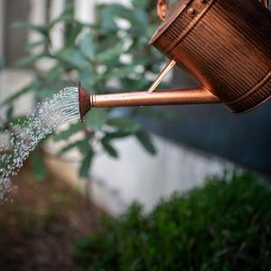 Handcrafted Copper <b>Watering</b> <b>Can</b> for Indoor Outdoor Plants Garden Home Decor <b>Vintage</b> Metal Plant <b>Watering</b> cane with Long Spout - Product Image 3