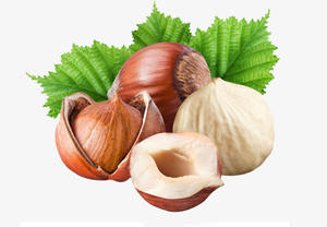 Noix de hêtre biologiques séchées, brutes, pelées, sans peau, pures, naturelles, comestibles, pour l'alimentation - Product Image 3