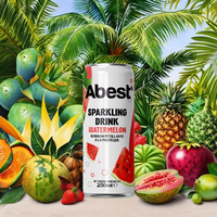 Eau gazeuse Abest 330ml, boisson gazeuse fruitée au goût naturel, certifiée HACCP, ISO, HALAL, usine du Vietnam, pack de 24 canettes