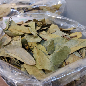 ใบชื่นฉิ่งแห้งคุณภาพสูง ชาสมุนไพรอันโนน่า มูริคาตา ชาดีท็อกซ์ออร์แกนิกธรรมชาติ ผู้ส่งออกจากเวียดนาม - Product Image 5