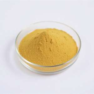 Jeeva Organic 95% Quercétine Dihydrate en Poudre, Qualité Alimentaire, Certifié Halal, Issu de Culture Artificielle, Disponible en Fût - Product Image 1