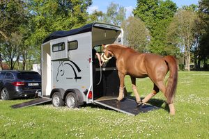 Remolque de Carga Eléctrico de 3 Pisos para Transporte de Ganado y Caballos, Usado, Personalizado, Estándar Belga, Disponible para Venta al por Mayor a Bajo Precio - Product Image 3