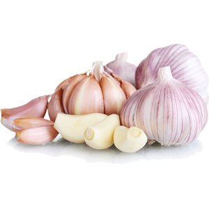 Ajo Blanco Fresco Orgánico Natural Pelado, Precio de Fábrica, Venta al por Mayor, Exportación, Jinxiang Shandong - Product Image 1