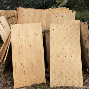 Chapa de Eucalipto 100% Natural de Alta Calidad, Ecológica y Duradera, Corte Rotatorio, 1270x640mm, para Tableros de Muebles - Product Image 1