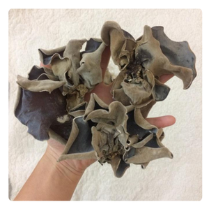 เห็ดราดำอบแห้งเกรดส่งออกจากเวียดนาม | สดและคุณภาพสูง - Product Image 6