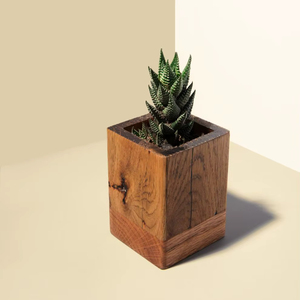 Jarrón Ecológico Hecho a Mano de Madera de Ciruelo con Tamaño Personalizable, Diseño Americano Moderno para Flores Secas y Decoración del Hogar - Product Image 1