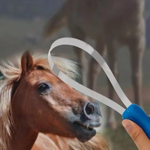 Grattoir à poils de cheval en acier inoxydable dentelé, brosse de toilettage efficace pour enlever les poils d'animaux pour chevaux, chiens et bétail - Product Image 5