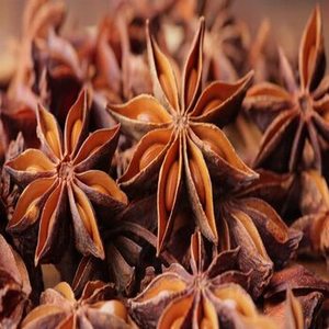 Anís estrellado indio recién cosechado, vainas enteras aromáticas para pedidos al por mayor, distribuidores internacionales y mercados comerciales de especias - Product Image 6