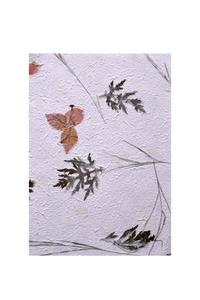 Hojas de Papel Botánico Hechas a Mano de Lujo con Hojas Prensadas Reales y Textura Floral para Invitaciones de Boda y Empaque de Regalos - Product Image 6