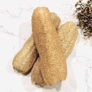 Plantes de loofah blanches pleine grandeur, excellentes pour les commandes en gros, fibres naturelles de loofah séchées pour le lavage et le récurage en cuisine - Product Image 5