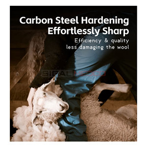 Cisailles à ongles de mouton en acier inoxydable allemandes, coupe-ongles de 10 et 12 pouces, outils de toilettage manuels robustes pour chevaux, seringues vétérinaires - Product Image 2