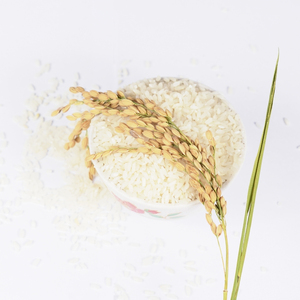 Arroz Blanco Orgánico de Grano Mediano Fresco de Cosecha, Suministro de Alimentos Orgánicos para Compradores, Selección Premium de Granos Secos para Exportación - Product Image 4
