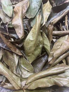 Organic Dried Soursop Leaves Black <b>Tea</b>-Non-Sugar <b>Tea</b> Bags (25 Bags/<b>Box</b>) Bulk Packaging Vietnam Origin Free Shipping Capped $20 - Product Image 5