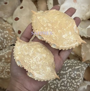 Matériel en coquilles de crabe séchées naturelles pour le rembourrage et l'artisanat - Product Image 1