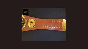 Ceinture de championnat de lutte personnalisée CHAMP KING - Product Image 2