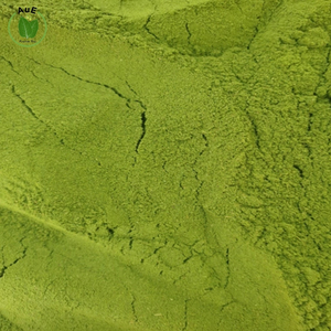 Polvo de Hoja Herbal Tailandesa AuE 2% MIT de Calidad Profesional, 120 Mesh, Secado al Aire Caliente, Envasado al Vacío, Grado Alimenticio - Product Image 4