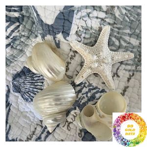 Anneau de serviette en coquillage naturel avec surface en nacre irisée pour une décoration de table de style plage, une décoration de maison côtière et les événements - Product Image 4