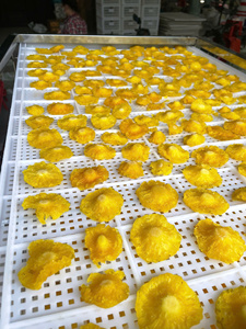 Piña Deshidratada Suave de Origen Vietnamita, Snack de Fruta Natural, Piña Deshidratada Suave Lista para Exportación, Pedido a Granel, Empaque Flexible - Product Image 2