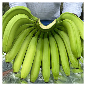 Las mejores bananas verdes 100% de alta calidad, bananas Cavendish frescas, precios económicos para ventas calientes - Product Image 5