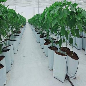 Cocopeat de 20 Litros con Cubiertas Tratadas con Protección UV de 2 Años, Bolsas de Cultivo para Plantas, Tipo Plano - Product Image 3