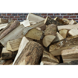 Troncos de Madera Blanda Natural, Troncos para Pelar Madera, Madera Sólida Ideal para Pelar, Revestir Paneles y Aplicaciones de Construcción - Product Image 6