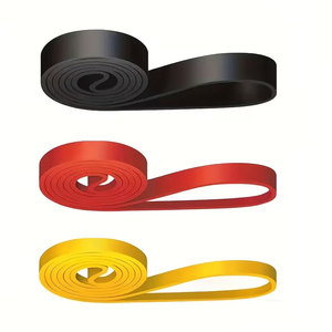 Bandas de resistencia ajustables con asas, tubos de resistencia portátiles para ejercicios de fuerza, entrenamiento en casa, equipo de gimnasio. - Product Image 1