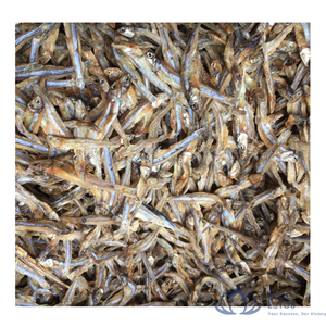 BEST-SELLER |   Anchois séchés pour la cuisine, soupes, bouillons, snacks, transformation alimentaire, vente en gros, Vietnam - Product Image 1