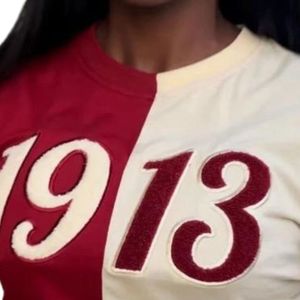 เสื้อยืดปักลายเชนิลล์ Half Half 1913 DST ผ้าฝ้ายพรีเมียม เสื้อผ้าสำหรับชมรมนักศึกษา เสื้อผ้าเดลต้ากรีก สีมารูน โทนสีกลาง สองสี - Product Image 2