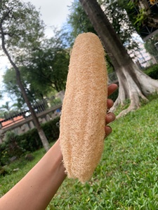 ฟองน้ำใยบวบธรรมชาติขายดี ขัดผิวได้อย่างเป็นมิตรต่อสิ่งแวดล้อม ย่อยสลายได้ ฟองน้ำอาบน้ำแบบยาว รับผลิตแบบ OEM ODM จำหน่ายจำนวนมาก - Product Image 2