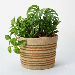 Juego de 3 macetas de hierba marina tejidas a mano con patrón de rayas para decoración del hogar, patio exterior, jardín, macetas y jardineras - Product Image 4