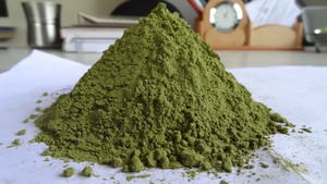 Polvo de extracto de hoja de Moringa oleifera pura de alta calidad 10%-98% - Product Image 4