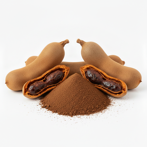 Poudre de Tamarin Biologique Séchée par Pulvérisation en Gros 80-100 Mesh Fournisseur en Vrac Qualité Alimentaire Naturelle Courante OEM ODM Exportation Transformation Alimentaire - Product Image 1