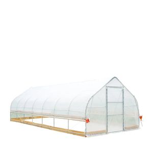 Telo in EVA trasparente da 6 mil per serra, 12FT X 30FT, per serra di coltivazione, serra a freddo, con pareti avvolgibili a manovella e tetto a punta, adatto per fattorie verticali - Product Image 6