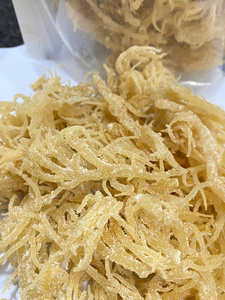 Eucheuma Cottonii - Wild Golden Irish Sea Moss con alta calidad/Purple Irish Sea Moss/Sra. Lima - Product Image 4