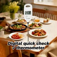 Termometer Memasak Digital Bacaan Instan - Logam Ultra Cepat