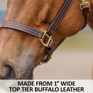 Cabestro de Cuero Enrollado para Caballo, en Cuero Indio de Alta Calidad con Hebilla de Latón y Acolchado Suave de Piel de Vaca - Product Image 4