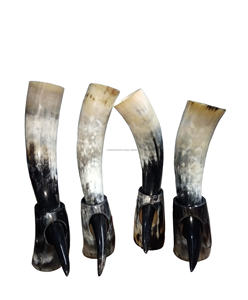 Cuerno de buey pulido de la mejor calidad, estilo Animal, boda y fiesta, cuerno para beber con cuero, precios efectivos, artesanías naturales - Product Image 1
