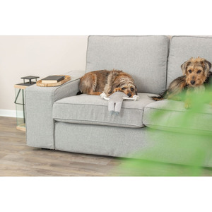 Peluche de Mapache de 33 cm, Juguete Interactivo para Mascotas con Movimiento - Product Image 6