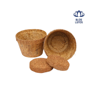 Blue Lotus Coir Flower Pots Biodegradable Eco-Friendly Durable <b>Planters</b> Garden Use <b>Square</b> Design Not Coated Country Style - Product Image 1